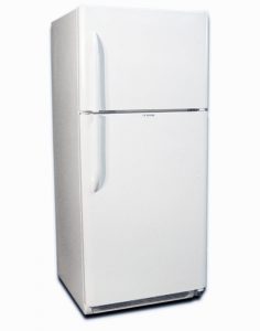 Small Propane Refrigerator  EZ Freeze 10 Cubic Foot Black